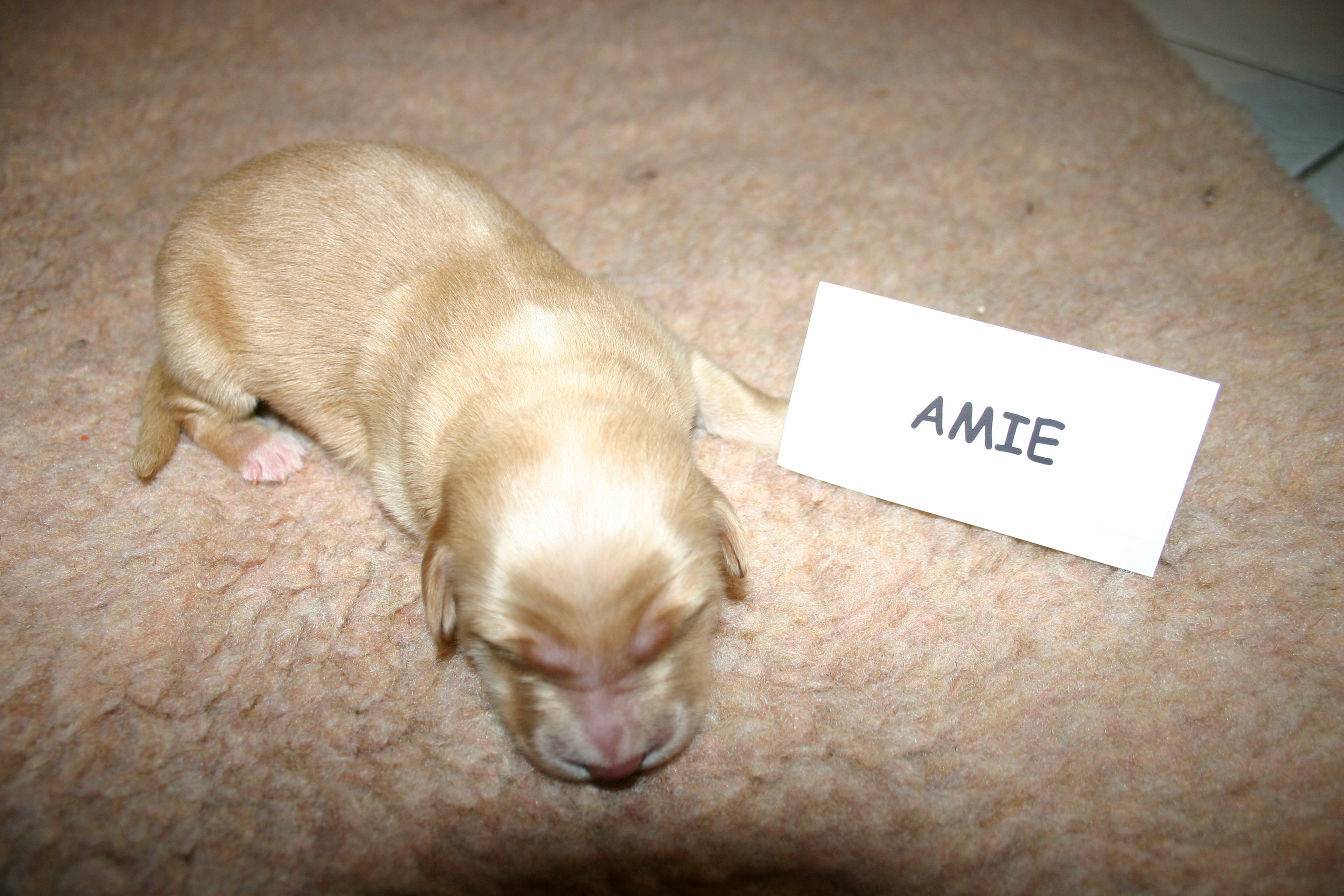 Amie 17.02.05